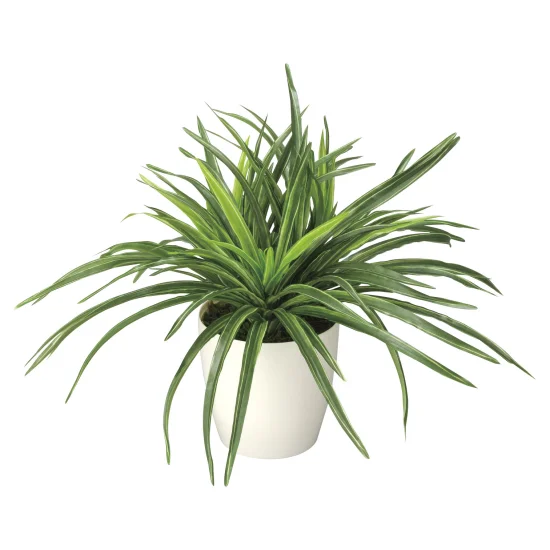 光触媒 人工観葉植物 造花 ドラセナ (高さ32cm) (245K45) - 店舗用品