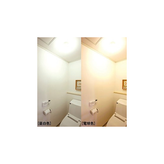 人感センサー付LED電球小型 垂直 昼白 (54915-1*)