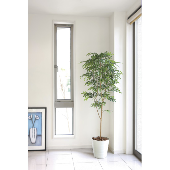 光触媒 人工観葉植物 造花 トネリコ1.8 (高さ180cm) (2094P380)