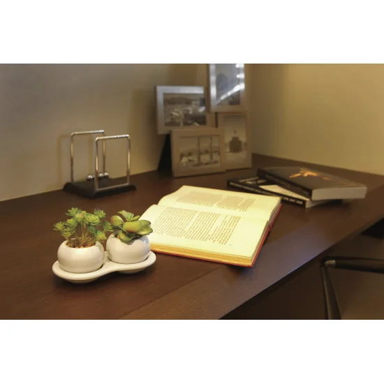 光触媒 人工観葉植物 造花 ダブル多肉ポットB(ポリ製) (高さ10cm) (2110A25)