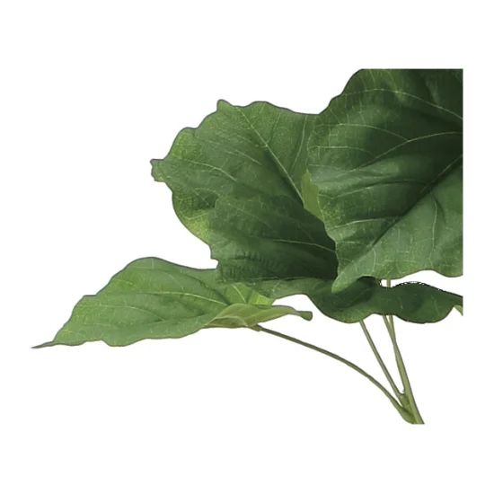 光触媒 人工観葉植物 造花 フィカスウンベラータ1.7 (高さ170cm) (2117R450)