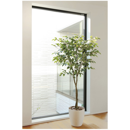 光触媒 人工観葉植物 造花 フィカスツリー1.65 (高さ165cm) (2435A290)