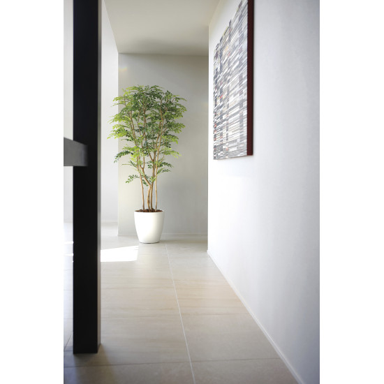 光触媒 人工観葉植物 造花 ツートントネリコ1.8 (高さ180cm) (2443A650)