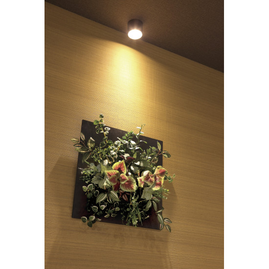 光触媒 人工観葉植物 造花 ウオールタイプコリウス45 (高さ45cm) (2557A200)