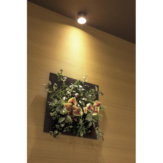光触媒 人工観葉植物 造花 ウオールタイプコリウス45 (高さ45cm) (2557A200)