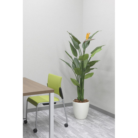光触媒 人工観葉植物 造花 ストレチア花付1.5 (高さ150cm) (2565A500)