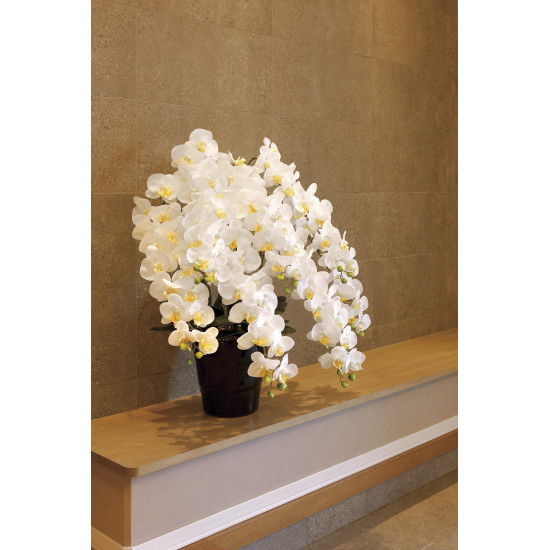 光触媒 人工観葉植物 造花 フレッシュロング胡蝶蘭7本立W (高さ90cm) (2578A500)