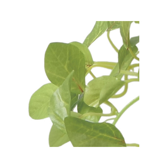 光触媒 人工観葉植物 造花 チャーリーハンギング (高さ75cm) (2582A50)