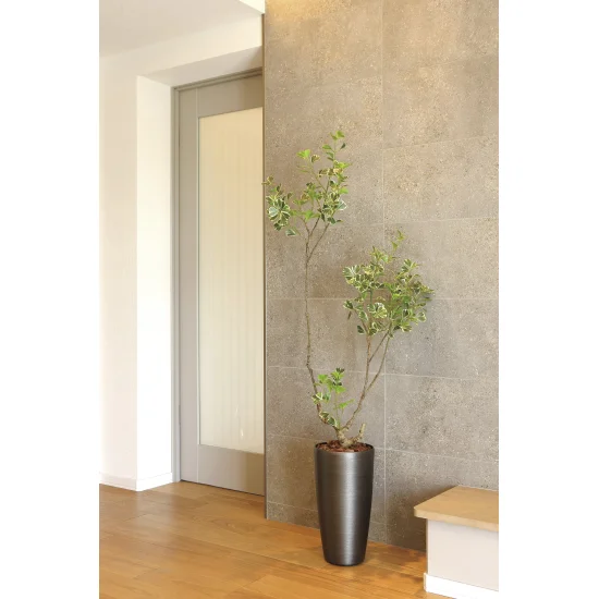 光触媒 人工観葉植物 造花 スリムフィカストライアングル1.6 (高さ160cm) (2589A400)