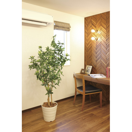 光触媒 人工観葉植物 造花 デラックスフレッシュパキラ1.6 (高さ160cm) (2601A480)