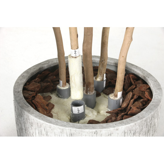 数字と矢印を合わせて差し込んでください。差込後にインテリアバーグを上に敷き詰めます。幹は抜けますので鉢を持って移動してください。