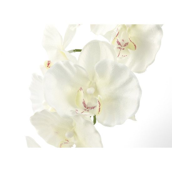 光触媒 人工観葉植物 造花 プレミアム胡蝶蘭5本立W (高さ75cm) (651K200)