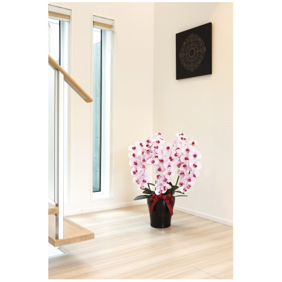 光触媒 人工観葉植物 造花 プレミアム胡蝶蘭5本立P (高さ75cm) (652K200)