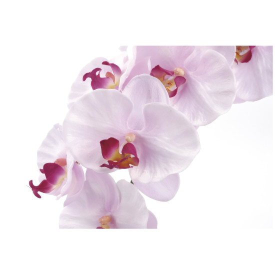 光触媒 人工観葉植物 造花 プレミアム胡蝶蘭7本立P (高さ75cm) (656A250)