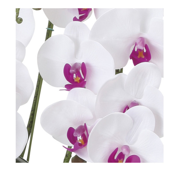 光触媒 人工観葉植物 造花 フレッシュ胡蝶蘭  5本立W/L (高さ72cm) (876P220)