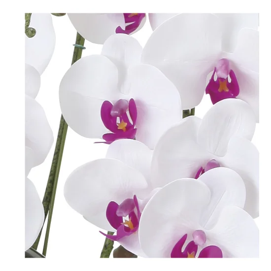 光触媒 人工観葉植物 造花 フレッシュ胡蝶蘭  5本立W/L (高さ72cm) (876P220)