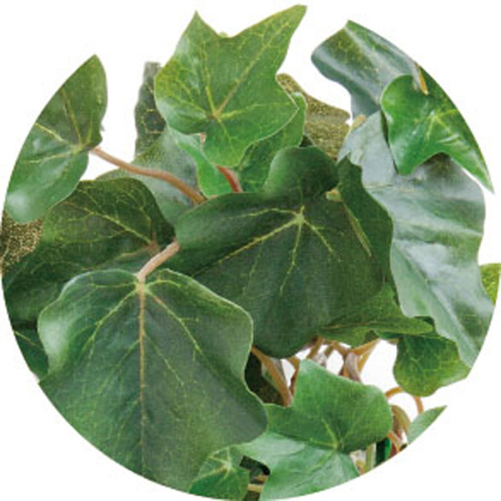 光触媒 人工観葉植物 造花 壁面緑化アイビー (高さ65cm) (442C70)