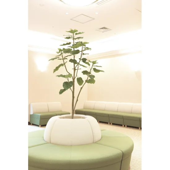 光触媒 人工観葉植物 造花 ウンベラ―タツリ―1.8 (高さ180cm) (805A430)