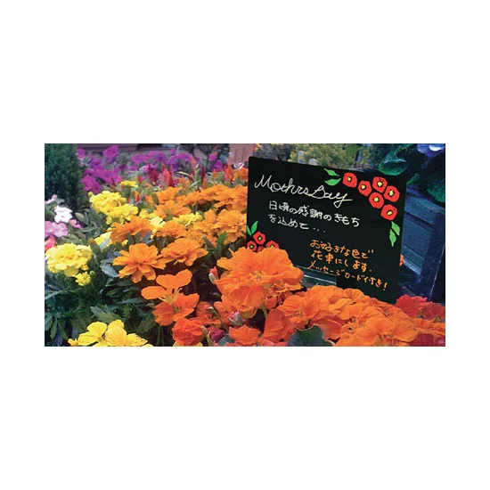 ■ポッププレート使用例（スタンドは別売です）