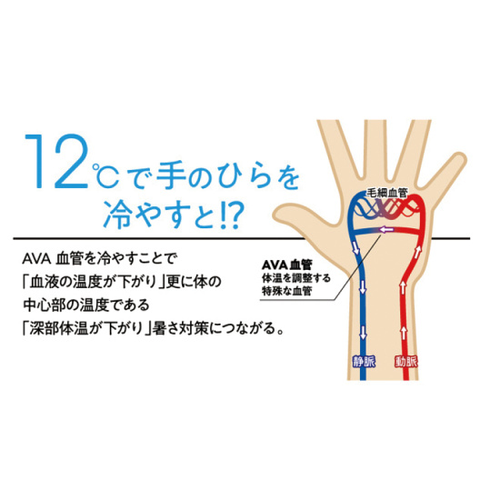 12℃で手のひらを冷やすと！？
