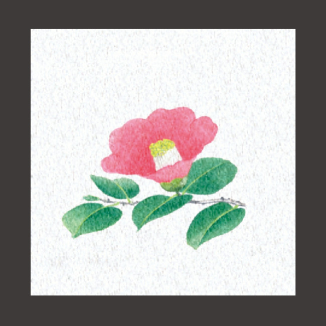 ※PEフィルムを両面ラミネートしておりますので、絵柄の上に直接お料理を盛り付けることができます。