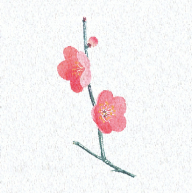 ※PEフィルムを両面ラミネートしておりますので、絵柄の上に直接お料理を盛り付けることができます。