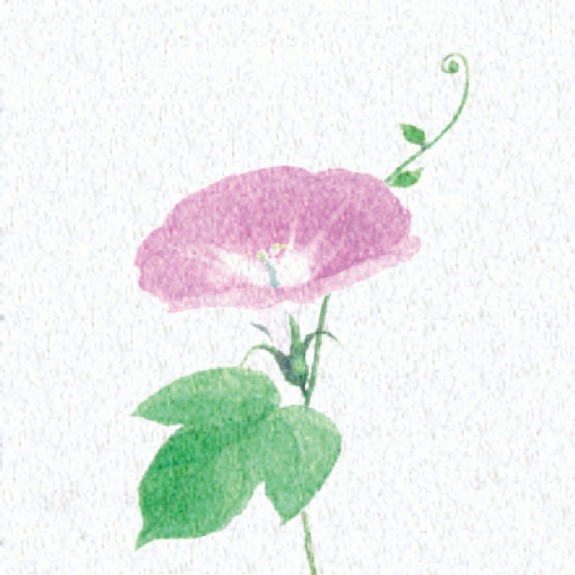 ※PEフィルムを両面ラミネートしておりますので、絵柄の上に直接お料理を盛り付けることができます。