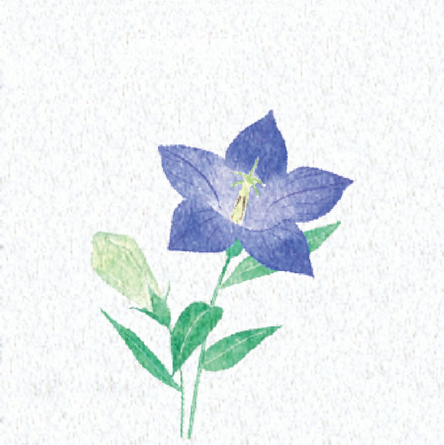 ※PEフィルムを両面ラミネートしておりますので、絵柄の上に直接お料理を盛り付けることができます。