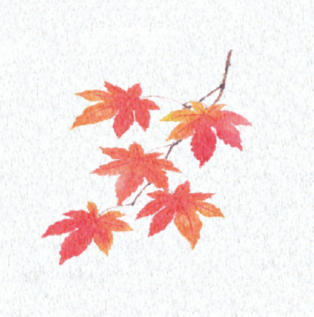 ※PEフィルムを両面ラミネートしておりますので、絵柄の上に直接お料理を盛り付けることができます。