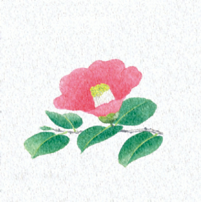 ※PEフィルムを両面ラミネートしておりますので、絵柄の上に直接お料理を盛り付けることができます。