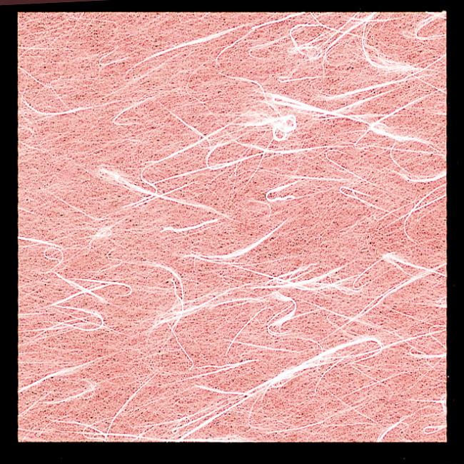 ※OPフィルム面（光沢のある面）に直接お料理を盛りつけてご使用いただけます。※裏面に盛り付けることはできません。