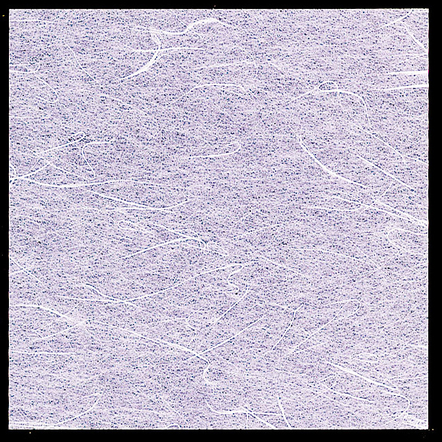 ※OPフィルム面（光沢のある面）に直接お料理を盛りつけてご使用いただけます。※裏面に盛り付けることはできません。