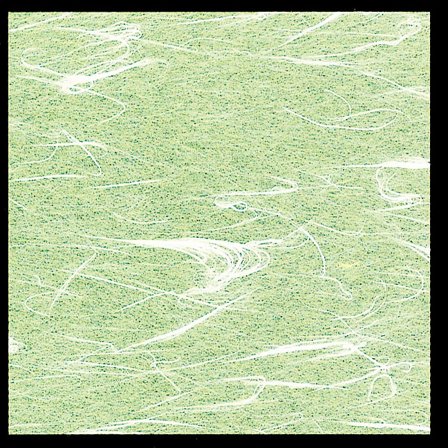 ※OPフィルム面（光沢のある面）に直接お料理を盛りつけてご使用いただけます。※裏面に盛り付けることはできません。