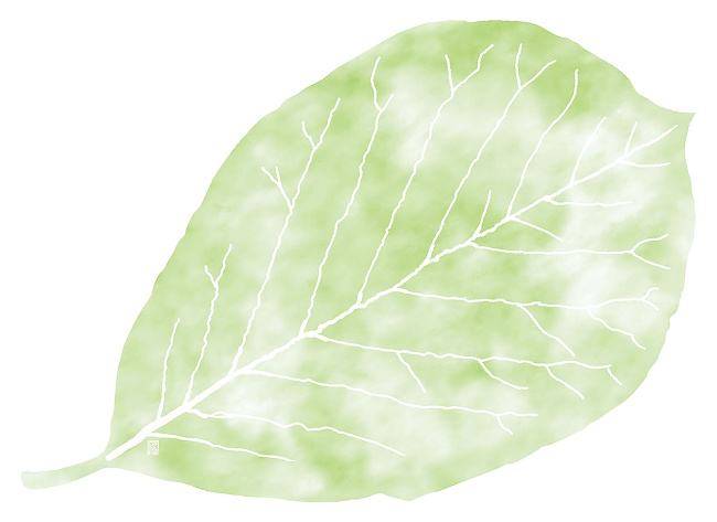 無蛍光紙を使用しております。 このシリーズは1袋50枚入です。