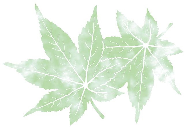 無蛍光紙を使用しております。 このシリーズは1袋50枚入です。