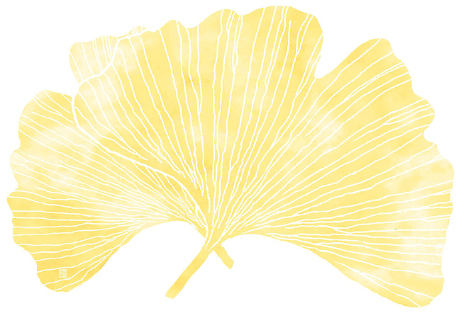 無蛍光紙を使用しております。 このシリーズは1袋50枚入です。