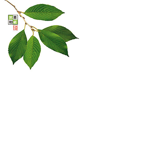 無蛍光抗菌和紙を使用しております。