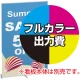 ロールアップコンパクト1000用 印刷製作代＋取付費込み (※本体別売) マット合成紙※ラミなし(W1000xH2200) マット合成紙※ラミなし セットアップ取付費込