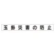 スーパーフラットミニ掲示板 専用マグネット (小) 表示内容:玉掛災害の防止 (313-651) 玉掛災害の防止