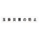 スーパーフラットミニ掲示板 専用マグネット (大) 表示内容:玉掛災害の防止 (313-652) 玉掛災害の防止