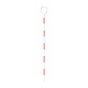 ピンポール 50cm (388-64)
