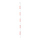 ピンポール 100cm (388-66)