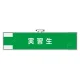 作業管理関係腕章 90×400 実習生 (848-33) 実習生
