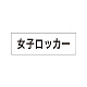 室名表示板 片面表示 女子ロッカー 小 アクリル（白） (RS1-18)
