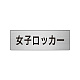 室名表示板 片面表示 アルミ（ヘアライン仕上げ） 女子ロッカー 小 (RS6-18)