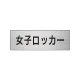室名表示板 片面表示 アルミ（ヘアライン仕上げ） 女子ロッカー 小 (RS6-18) 女子ロッカー 小