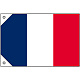 販促用国旗 フランス サイズ:ミニ (23673)