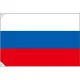 販促用国旗 ロシア サイズ:小 (23686) 小