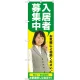 のぼり旗 入居者募集中 (緑) (GNB-2645) グリーン