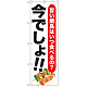 のぼり旗 焼鳥 今でしょ!! (SNB-1319)
